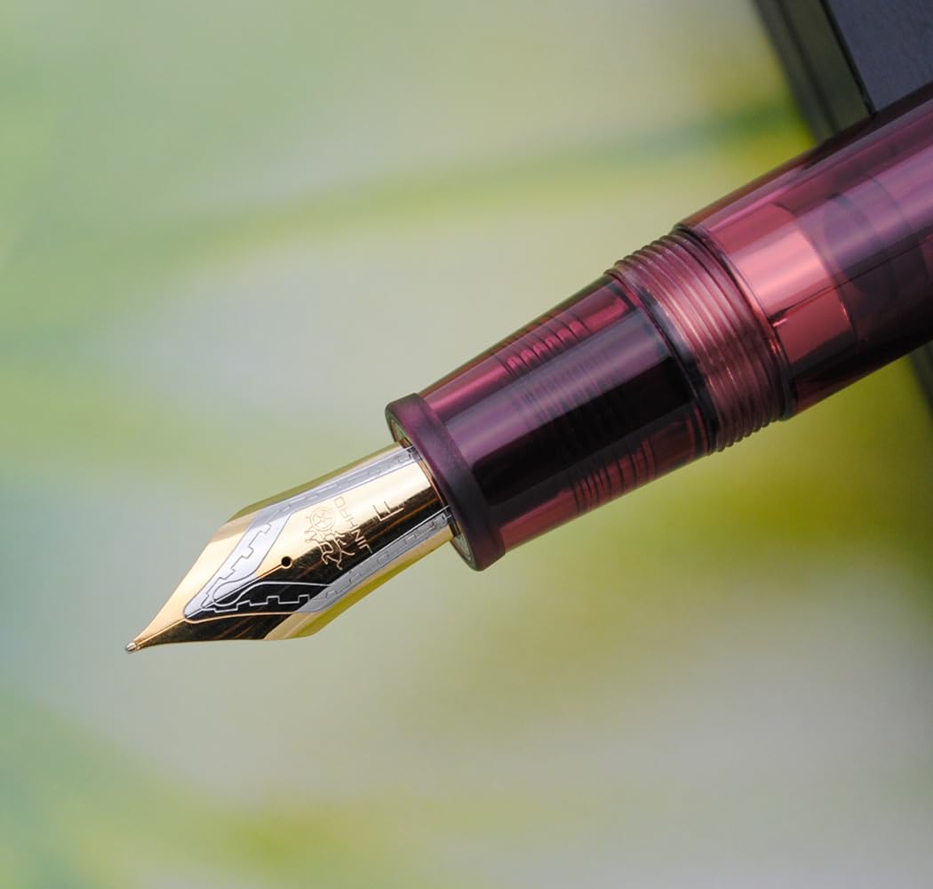 JINHAO DADAO 9019 Fountain Pen Acrylic Ink Pen with Ink Converter (Fine Nib, Transparent Wine Red) - Image 2