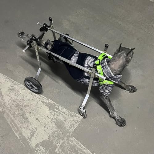 調整可能なペットカート車椅子、 犬用車椅子 複数サイズ調整可能 アルミ合金製 移動補助具(L Wide)