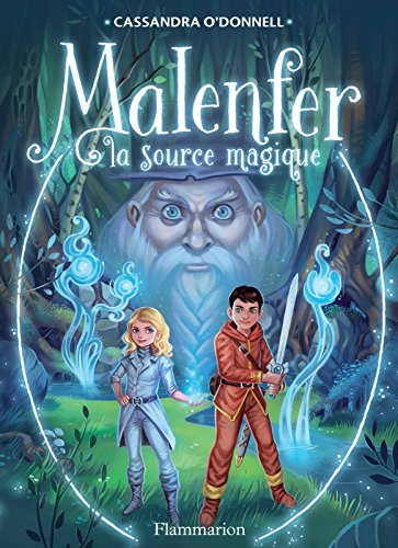 Télécharger Malenfer - Terres de magie (Tome 2) - La source magique PDF