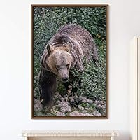 Framed Canvas Wall Art Bear Animals Bear Expressive Living Room Multicolor Photography Tropical - 16x24 inches