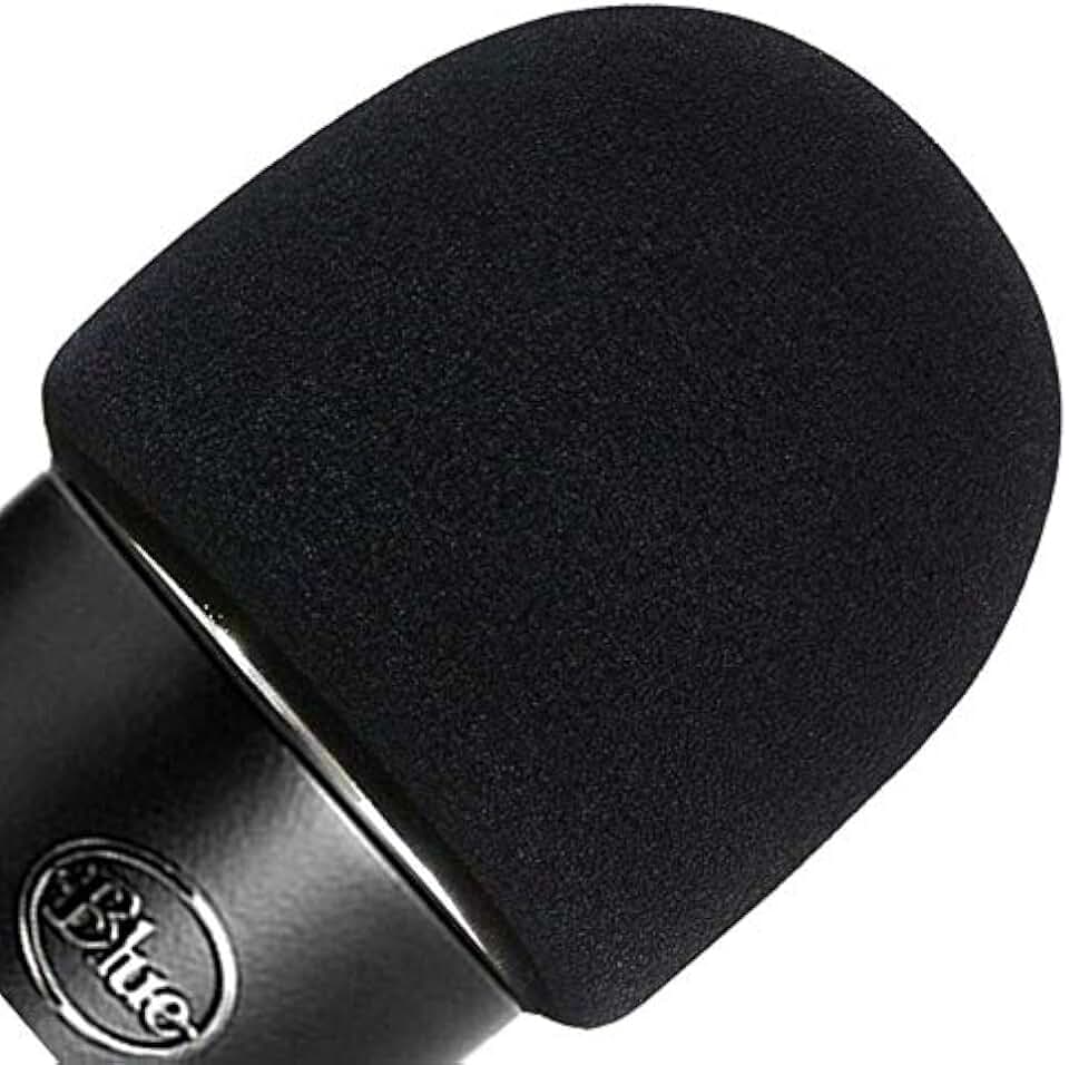 Computer Microphone Muffled at Victor Nagle blog