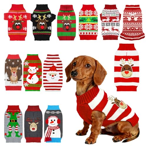 AXIIJGL pNX}XZ[^[ giJC  t[X Z[^[ XgCv ~ zf[ NX}X Z[^[ Lp [ht  