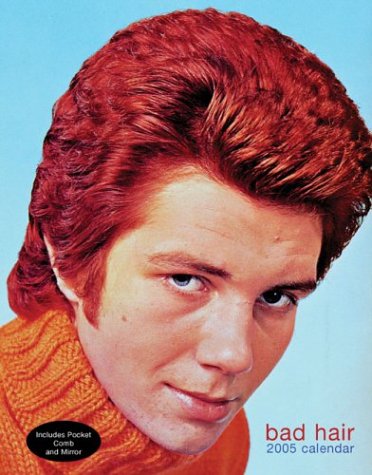 BAD HAIR DAY CALENDAR 2005