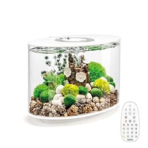 biOrb Loop 15 Acrylic 4-Gallon Aquarium with Multi-Color Remote-Controlled LED Lights Modern Compact Tank for Tabletop or Desktop Display, White-Trimmed Tank
