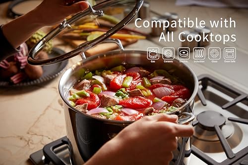 Image of 8 Quart Stainless Steel Stock Pot, 5-Ply Soup Pot