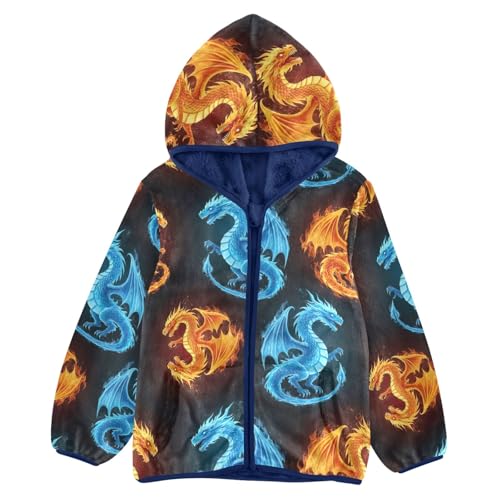 CHIFIGNO Dragons Fire Ice Boys Zip up Hoodie, Thick Lightweight Sweatshirt Jacket 3T