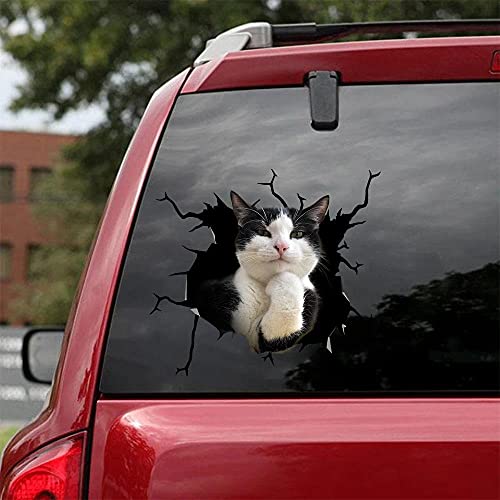 ChichuangK Tuxedo cat crack car 3D stickers, car SUV window glass stickers car stickers personalized car decoration, funny decals, toilet stickers, refrigerator stickers, (GJ0000186-899-1634030401)