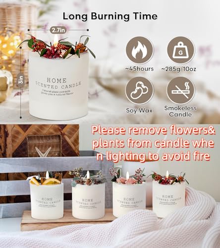 Candles Clearance | Eucalyptus & Orange Aromatherapy Candles | 10 oz Scented Candles for Home Eternal Flower | Handmade Natural Soy Candles Gifts for Men Women | 45 Hour Burn Jar Candle Candles