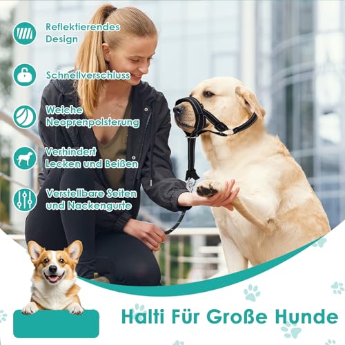 Halti Für Große Hunde, Hundehalfter Mit Gepolstertem Stoff, Verstellbar Ziehen Verhindert Halti Kopfgeschirr, Weich Anti-Zug-Halsband Für Große Hunde (Schwarz, L (Schnauze: 11,6-14,8zoll))