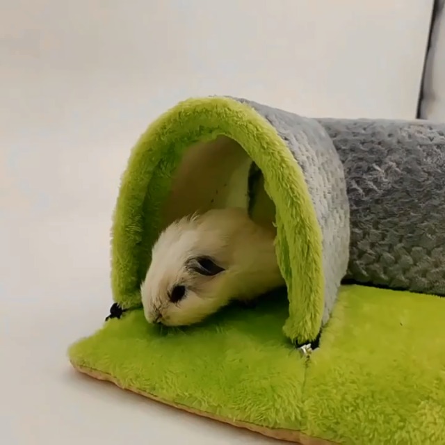 Tunnel Gioco Per Animali - Cuccia Staccabile Per Conigli E Porcellini D'India - Foto 12