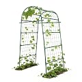 Garden Arch Trellis for Climbing Plants Outdoor, 7 Ft Tall Cucumber Trellis for Raised Bed, Metal Archway Arbor Trellis Support for Vegetables Beans Squash Peas Grape Vines Flowers