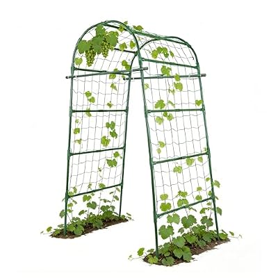Garden Arch Trellis for Climbing Plants Outdoor, 7 Ft Tall Cucumber Trellis for Raised Bed, Metal Archway Arbor Trellis Support for Vegetables Beans Squash Peas Grape Vines Flowers