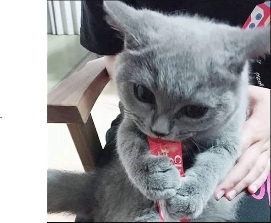 Amazon | 猫 プレゼント ギフト いなば CIAO ちゅーる 猫 全種