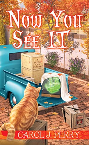 Cover of Now You See It