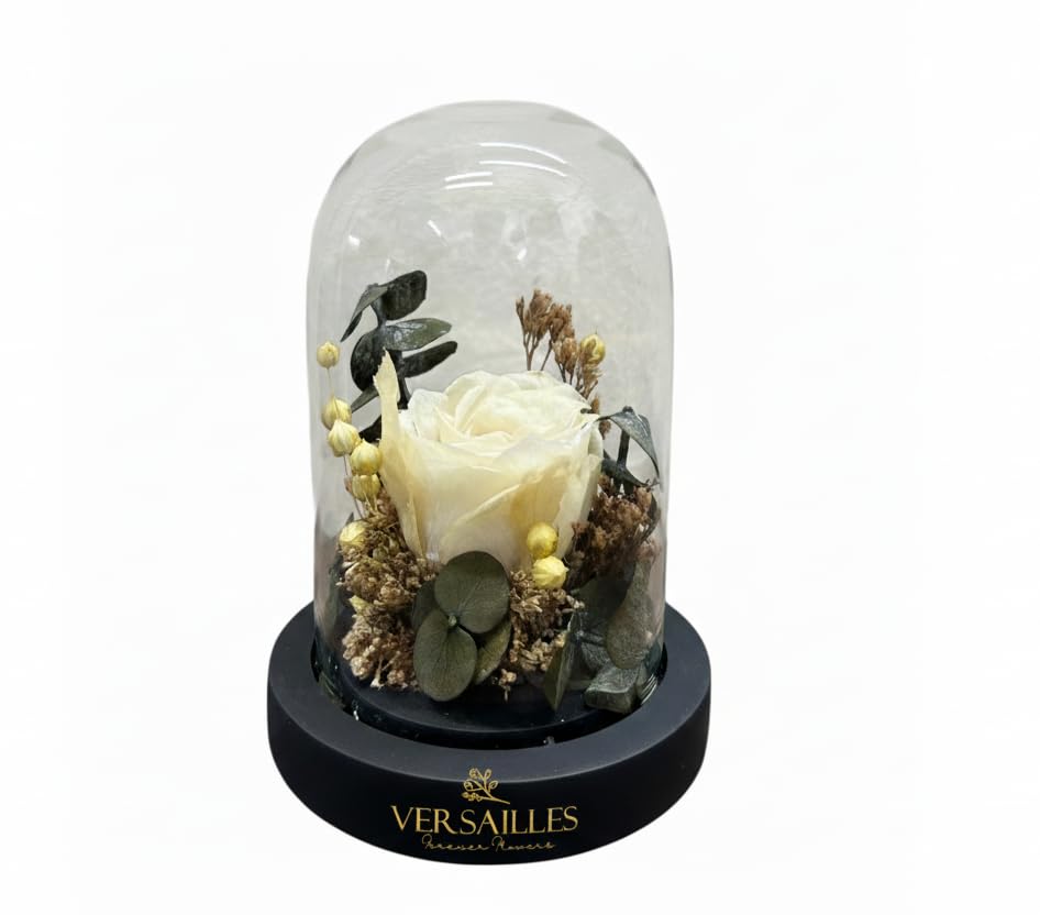 Versailles Preserved White Rose with Green Baby Dollar and Dry Tishi Grass in Glass Dome | Preserved Rose on Black Wooden Base | Eternal Rose | Real Flowers | Luxury Home Decor | Gift for Women-picture-11