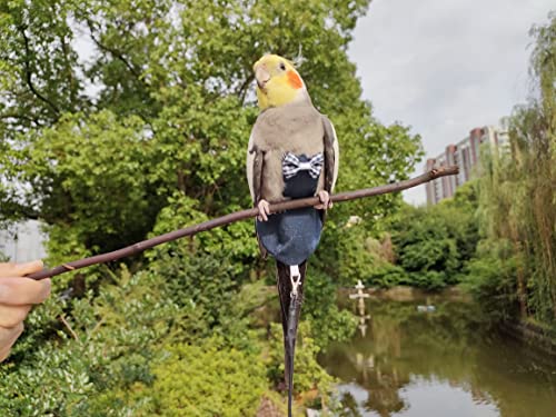 Cockatiel-Bird-Diaper-Flight-Suit-Liners-with-Flying-Rope-Leash-Extension-VANFAVORI-Denim-Blue