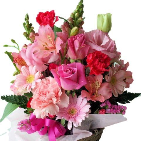 Amazon フラワーギフト 里の花 季節のお花おまかせフラワーアレンジメントb ピンク系 フラワーアレンジメント オンライン通販
