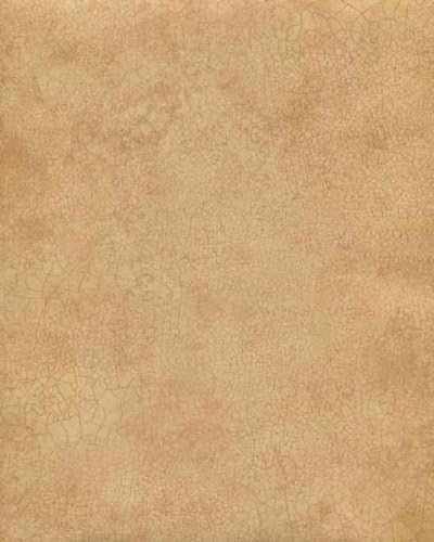 Norwall LL29506 Crackle Wallpaper Double Roll