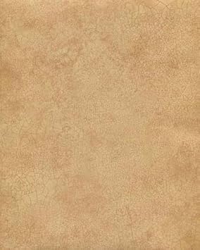 Norwall LL29506 Crackle Wallpaper
