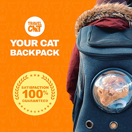 fat cat backpack