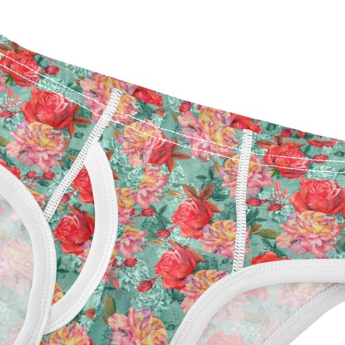 Boys' Exclusive Briefs Toddler Underwear 95% Combed Cotton Boxerbriefs 2T Rose Pattern 144