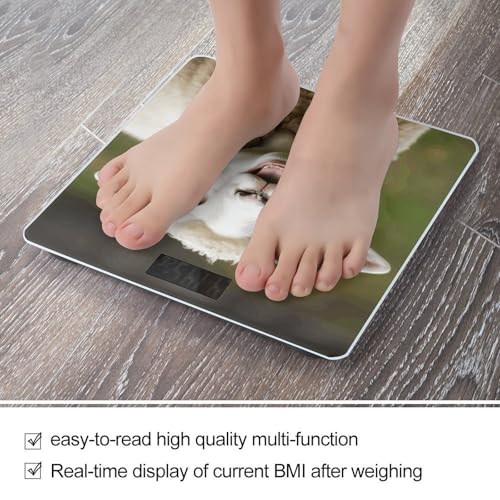 Báscula digital para baño con diseño de animal de vidrio templado miniatura 5
