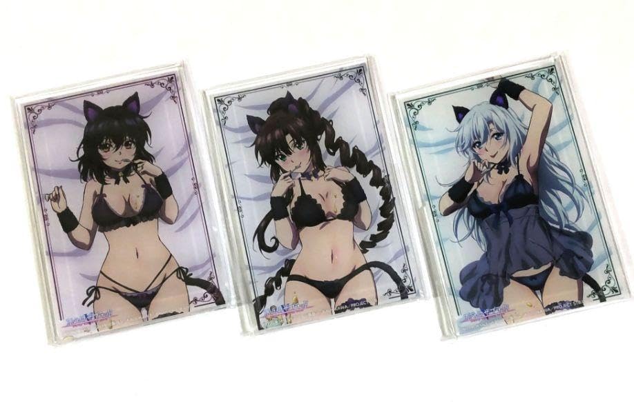ストライク・ザ・ブラッド アクリルスタンド 黒猫Ver. 全３種 くじ引き堂 ストライク・ザ・ブラッド アクリルスタンド 黒猫Ver. 全3種