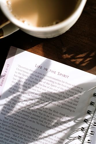 Romans: An All-In-One Study on Salvation and New Life (The Bible Study Collective) - image 8