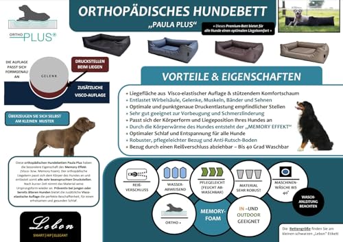 Lebon - Hundebett Paula Plus | Orthopädisch | 4 Farben | 4 Größen | Pflegeleicht | Schmutz- & Wasserabweisend (M, Grau)