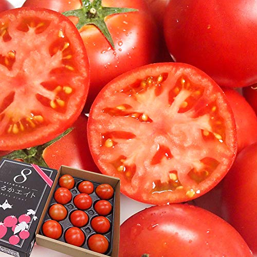 t[cg}g ͂邩GCg 800g 12?15 JAk͂邩 kCY g}g  O jΉ Ή Ή jΉ Ή