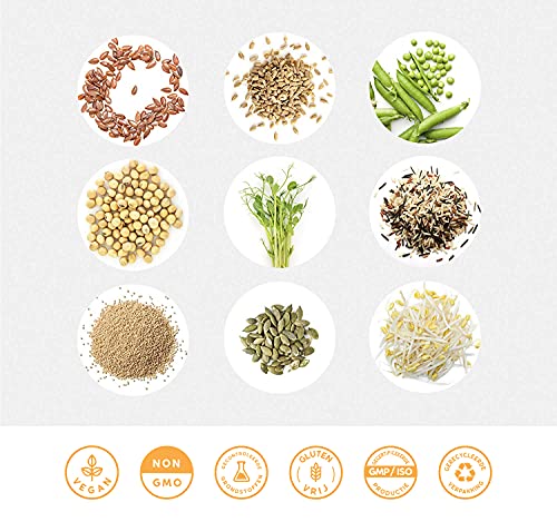 Vegan Protein - Vanille - Plantaardige proteinen van gekiemde rijst, erwten, lijnzaad, amaranth, zonnebloempitten… - Image 7