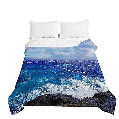 Surwin Colcha de Verano-Primavera Reversible con Impreso 3D,Edredón Cubrecama Rellenos de Algodón,Moderno Colcha Acolchada Quilted para Camas Individuales y Dobles (El mar,100x150cm)