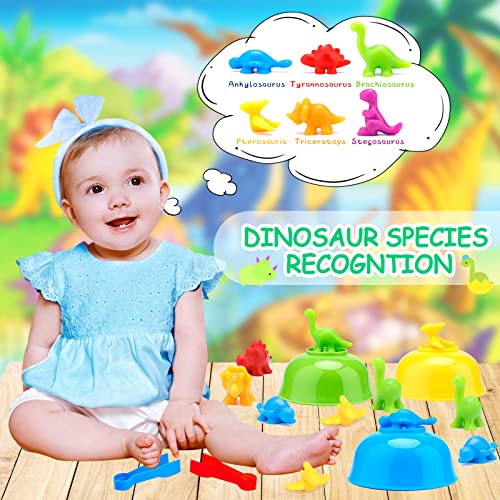 MOOING Farben Lernen ab 3-5Jahre, 48pcs Montessori Mathe Spielzeug, Motorikspielzeug Dinosaurier Zählen, Mathe Lernspielzeug mit Passenden Bechern Und Pinzetten, Jungen Spielzeug Geschenk