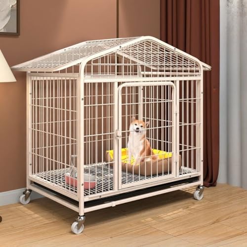 pN[gAybgP[WA^Ƒ^ɓKĂ܂AptFXAbN\ȃhAƃzC[tAXeXX`[AO\ȃgCAgݗĂƐ|ȒPA^璆^̌ɓKĂ܂AgCAÃIvVt Youlines