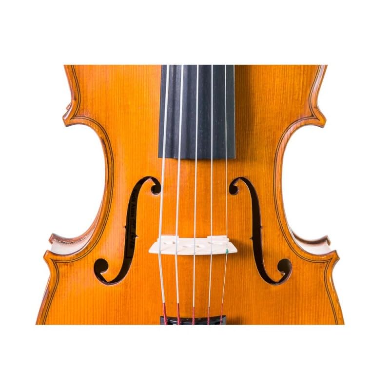 Gliga - Violín Gliga Gems II 4/4 5 cuerdas 4/4 - COVIGLGEMII445