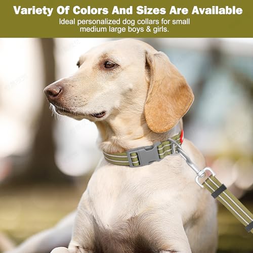 Collar Reflectante Ajustable para Perro Tamaño S Verde miniatura 6
