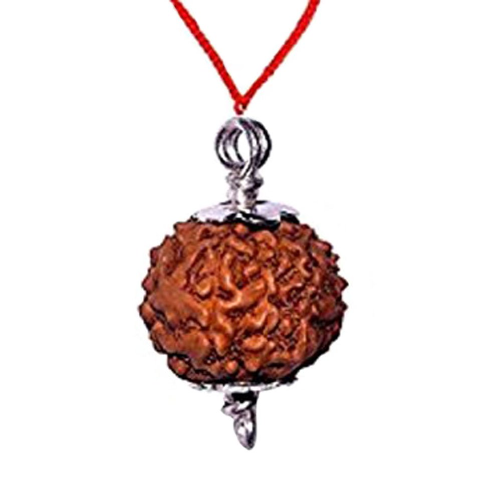 Navkaar Creation 7 Mukhi Rudraksha From Indonesia 12mm-14mm Silver Pendant Lab Certified