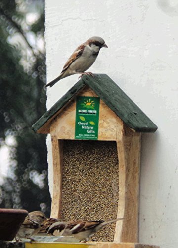Image of wall mounted house feeder and bird feeder mix, 900g