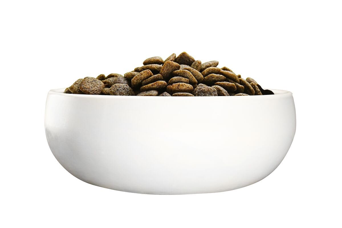 Green Petfood VeggieDog mit Kartoffel & Erbse (1 x 10 kg) | Adult | Premium Trockenfutter für ausgewachsene Sensible Hunde | vegetarisch & weizenfrei | mit leckerer Süßkartoffel | 1er Pack