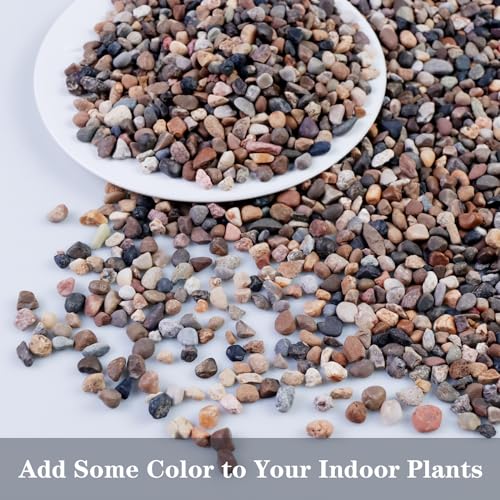 Image of 5lb Mixed Color Silica Gravel Pebbles, 1 /5 inch Decorative Stones for Succulents, Pebbles for Vases,Plants Rocks, Aquarium Sand, Top Dressing, Outdoor Decorative Rocks