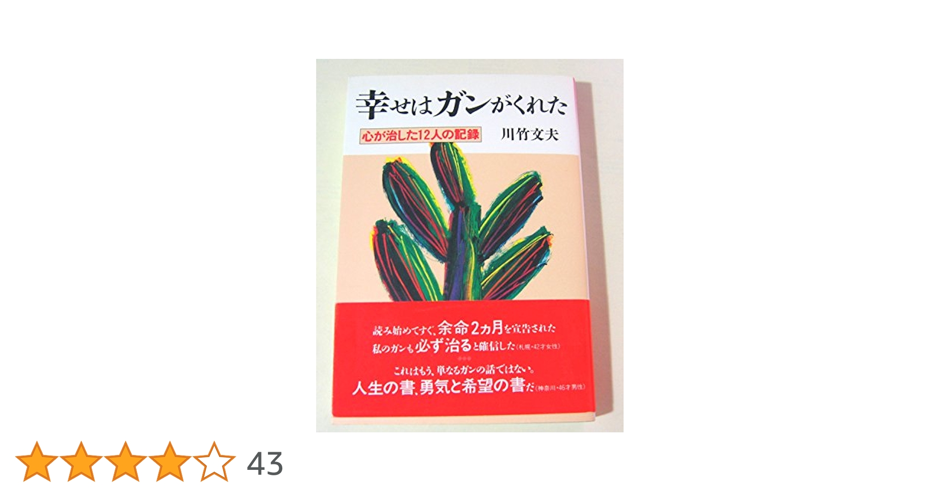 ガンの完全治癒の法則 DVD 全3巻　川竹文夫 DVD4枚付 治る力 (ガン完全治癒の法則・実践編) | 川竹 文夫