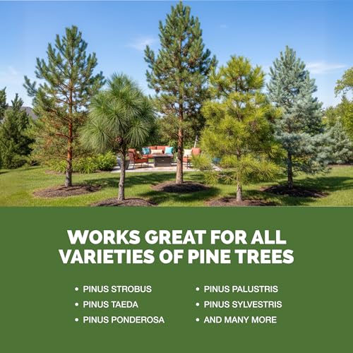 Fertilizante Pine Tree líquido 8 oz para pinos miniatura 5
