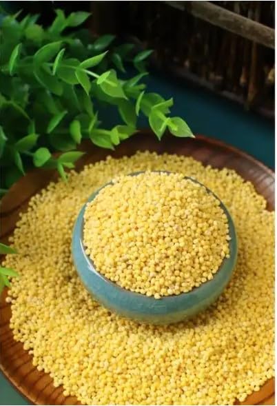 绿豆 緑豆400g X 10袋 生友特级黄小米 小米 あわ400g 10袋 Amazon | 生友 特級黄小米 あわ 雑穀 健康雑穀 ご飯やお粥に最適