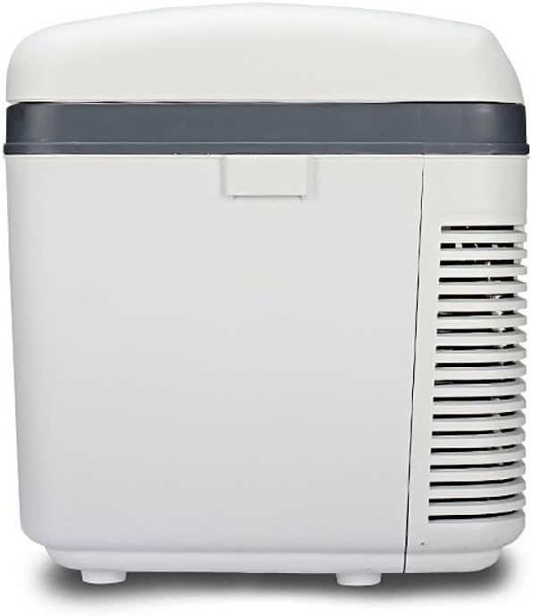 Mini Portable 19L Cold and Warm tat Refrigerator Storage Box Dedicated Double Bedroom Home Multi-Function Large Capacity car Refrigerator
