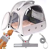 Transportador de viaje de dragón barbudo con arnés y correa, jaula transportadora de lagarto, transportador de cobayas para 2, bolsa de reptiles para lagartos, deslizador de azúcar, erizo, rata, loro