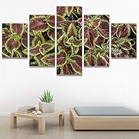 SIGNWIN 5 Panel Canvas Wall Art Modern Art Decorative Elements Expressive Leaves Multicolor Patterns Photography for Home Decorations Ready to Hang - 60