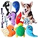 Toozey Marine Welpenspielzeug - 10 Stuck Hundespielzeug Welpen Langlebiges Hundespielzeug für Welpen/kleine Hunde - Hunde Spielsachen Kauspielzeug und Quietschspielzeug Intelligenz - Naturbaumwolle