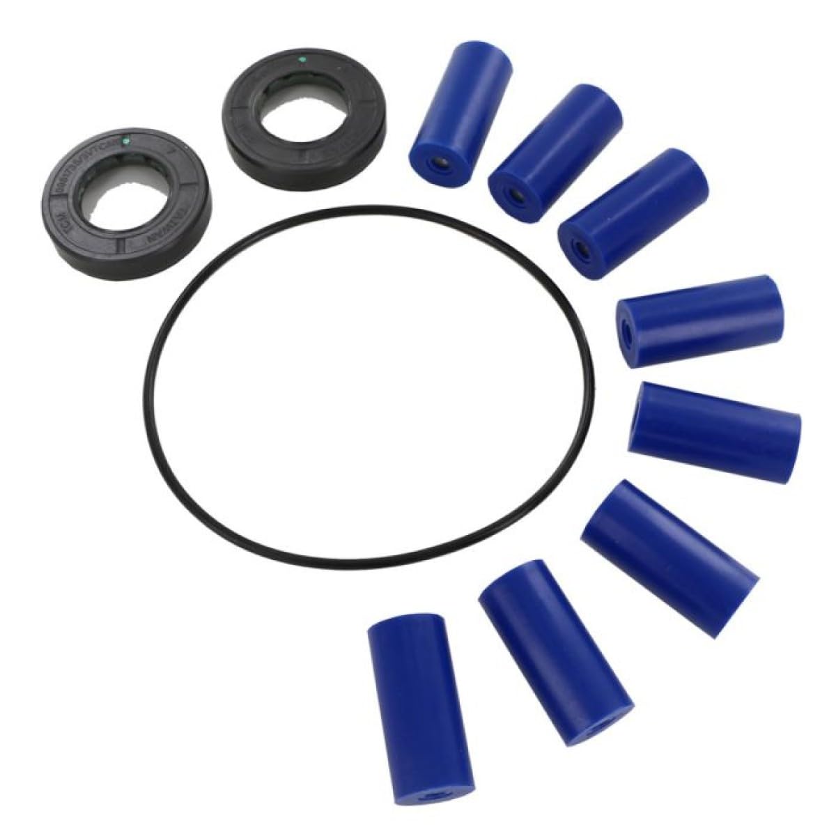 PENTAIR HYPRO 3430-0381 Roller Pump Repair Kit for 7560-Series, Includes 8 Super Rollers, 1 O-Ring Gasket & 2 Viton Seals, DIY Pump Rebuild for Agricultural Sprayers