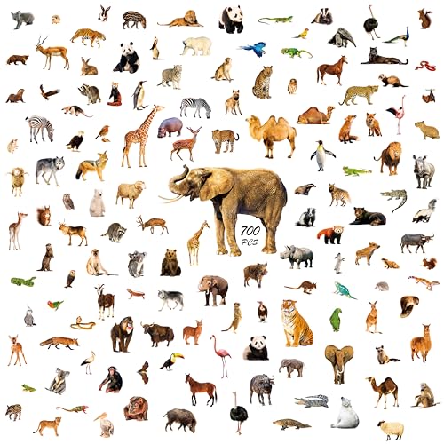 700 PCS Pegatinas de Animales Salvajes, Más de 100 Animales Realistas Pegatinas Adorables de Animales de Zoológico Resistentes al Agua/Rasgaduras sin Residuos Pegatinas Lavables para Botellas de Agua