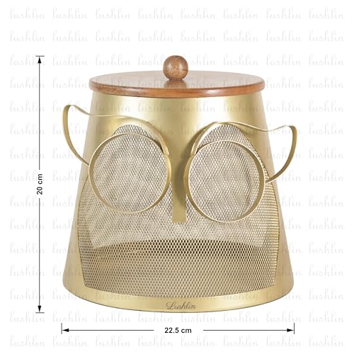 Image of LUSHLIN Metal Fruit Basket with Lid for Kitchen & Dining Table | Insect Proof Mesh Fruit & Vegetable Basket | Countertop Storage Basket for Fruits, Vegetables & Snacks (Gold, 22.5 cm)